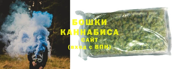 крисы Надым