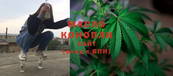 крисы Надым