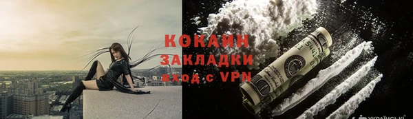 крисы Надым