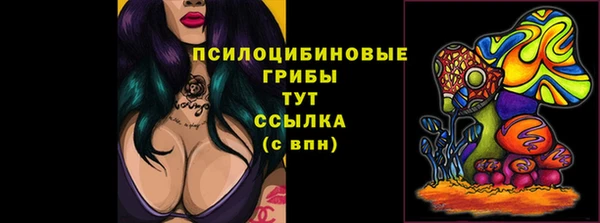 крисы Надым