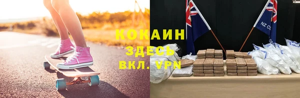 крисы Надым