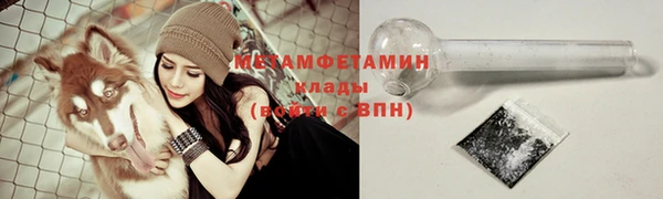 крисы Надым