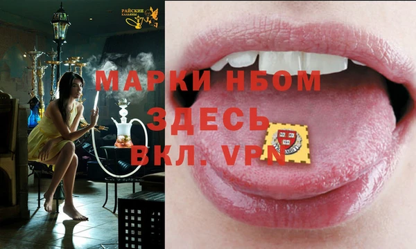 крисы Надым