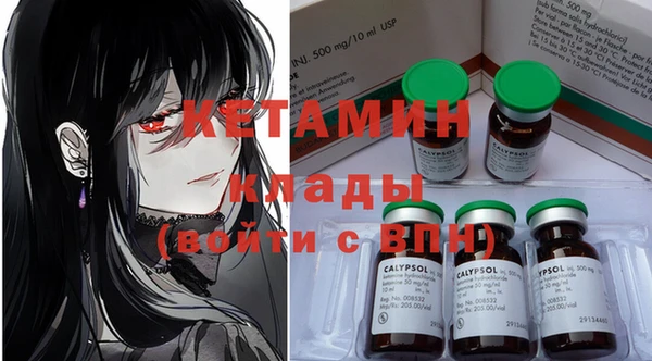 крисы Надым
