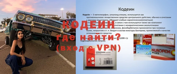 крисы Надым