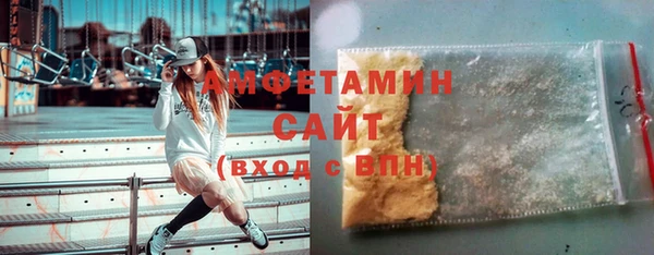 крисы Надым