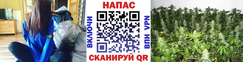 что такое   Циолковский  Канабис Amnesia 